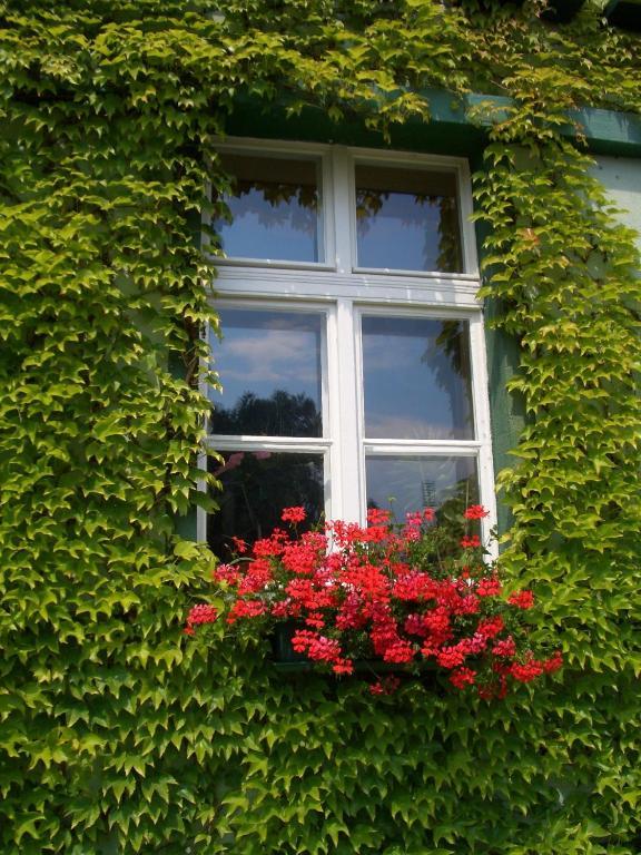 3 Sterne Hotel Frankfurt-Oder Zur Alten Oder 프랑크푸르트 암 오데르 외부 사진